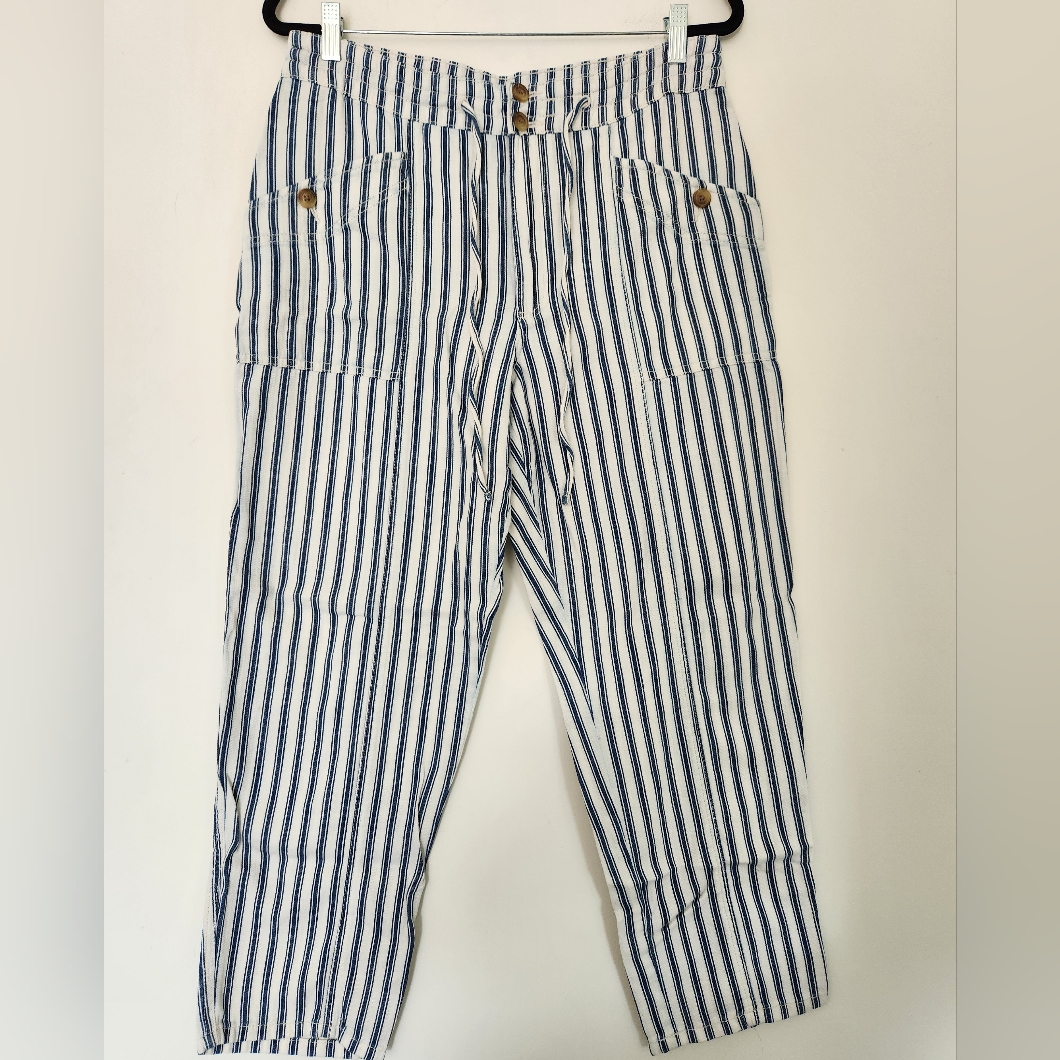American Eagle Outfitters Blue And White Striped Cropped Pants